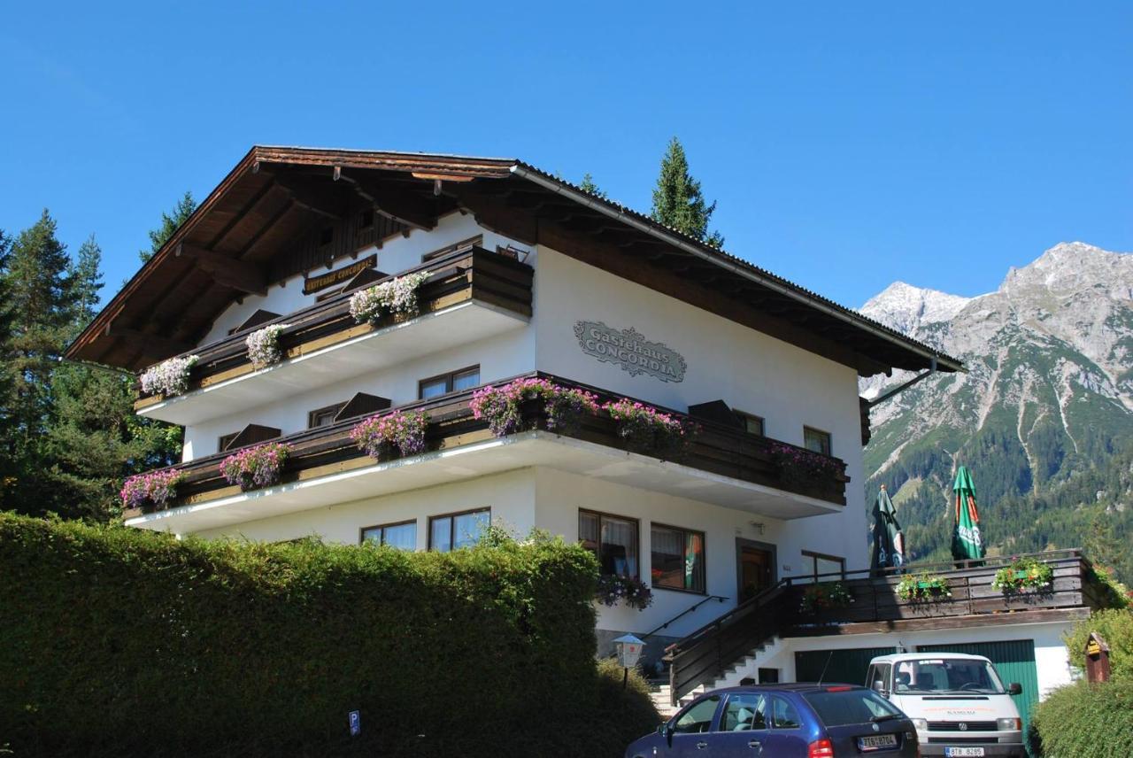 Pension Concordia Aktuel Ramsau am Dachstein Dış mekan fotoğraf